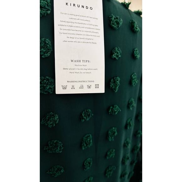 Kirundo NWT Womens Dress Size M Empire Waist 70s Retro Whimscagoth  Retro Sheer - Picture 8 of 15